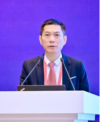 image-20250515113246-103